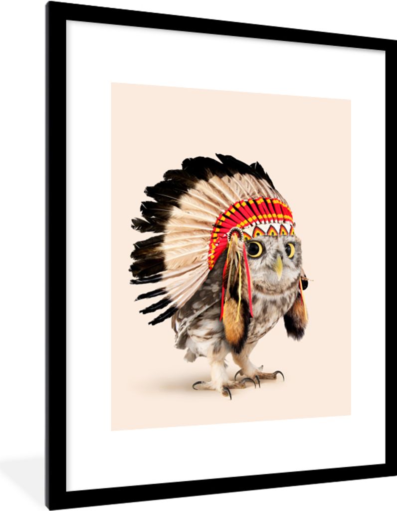 MuchoWow® Gerahmtes Poster Tier - Eule - Indianer - Vogel Produktbild 