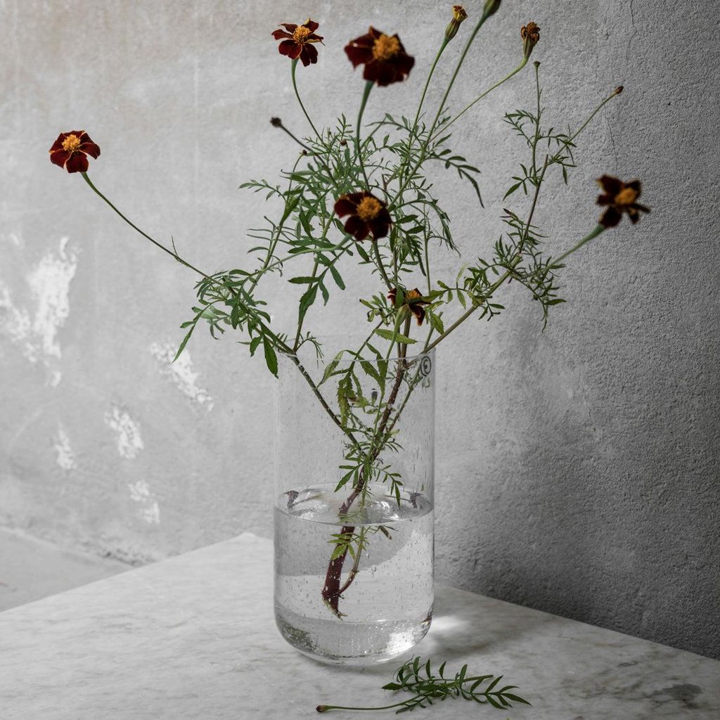 Vase Bubble aus Glas: large