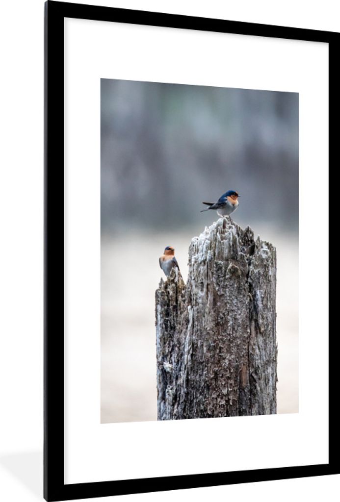 MuchoWow MuchoWow Gerahmtes Poster Vogel - Baumstamm - Winter 60x90 cm - Poster mit zchwarzem Bilderrahmen - Dekoration - Wandposter Wohnzimmer...