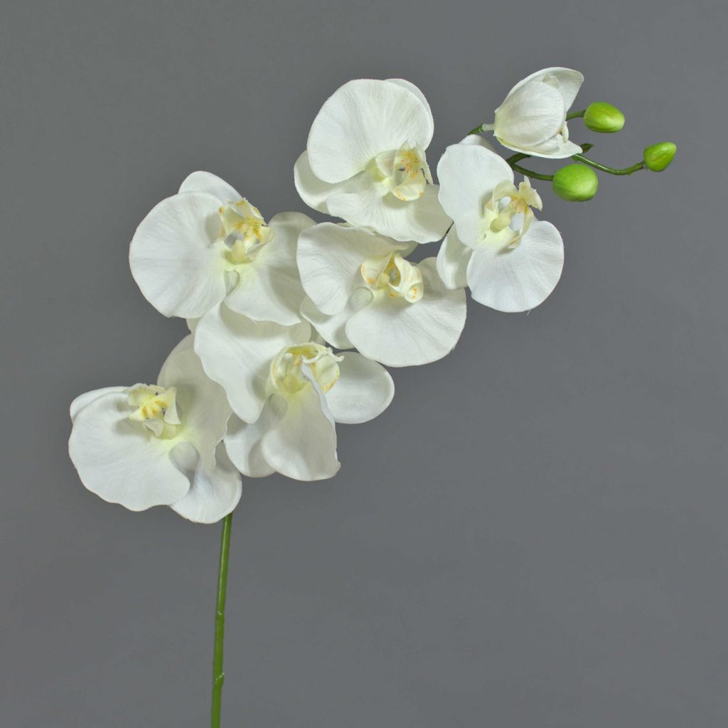 artplants.de Künstliche Blume Phalaenopsis Orchideen Zweig Produktbild 