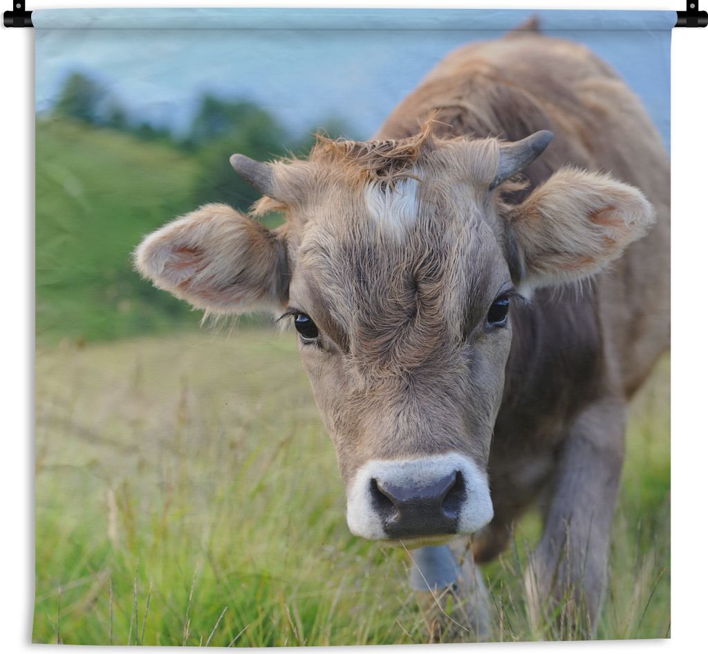 MuchoWow Wandteppich Wandbehang Kuh - Tiere - Braun - Gras 150x150 cm Tapisserie Dekoration Wandtuch - Wohnaccessoires - Modernes
