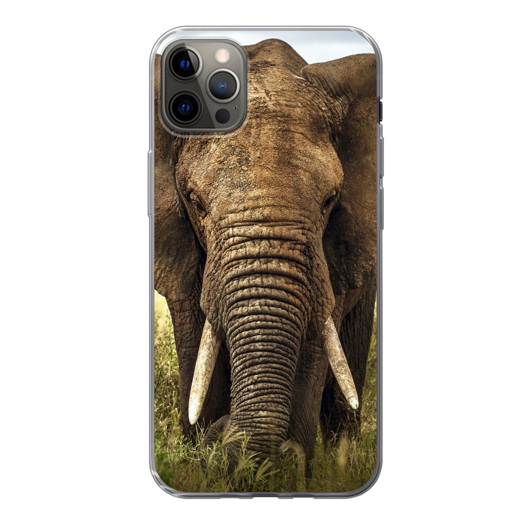 MuchoWow Handyhülle Schutzhülle Hülle für iPhone 12 Pro Max Elefant - Gras - Tiere - Natur Silikon Softcase Handy Hülle - Hartschale