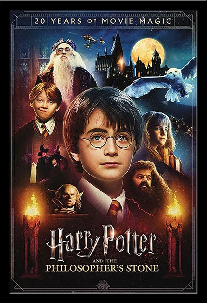 Décoration Murale Harry Potter pour Chambre et Salon avec Cadre Noir MDF
