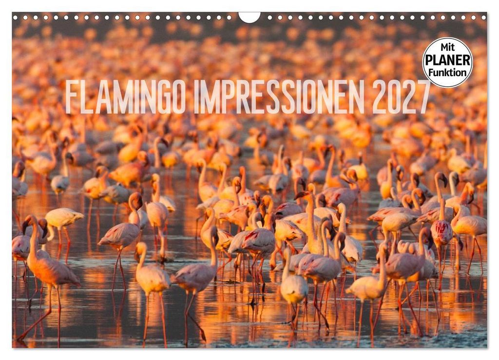 Flamingo Impressionen 2027 (Wandkalender 2027 DIN A3 quer), CALVENDO Monatskalender