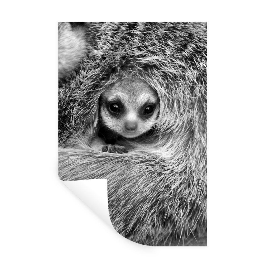 MuchoWow Wandtattoo Wandsticker Wandaufkleber Ein Erdmännchenbaby in einem Loch - schwarz und weiß 60x90 cm Selbstklebend und Repositionierbar ...