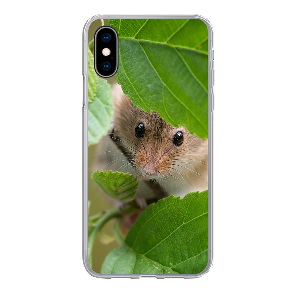 MuchoWow Handyhülle Schutzhülle Hülle für iPhone X Zwergmaus - Jungtiere - Blätter Silikon Softcase Handy Hülle - Handyhülle