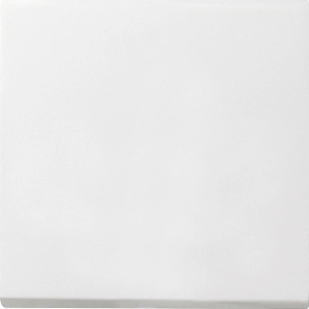 GIRA 0296112 Wippe Flächenschalter Reinweiß glänzend Produktbild 
