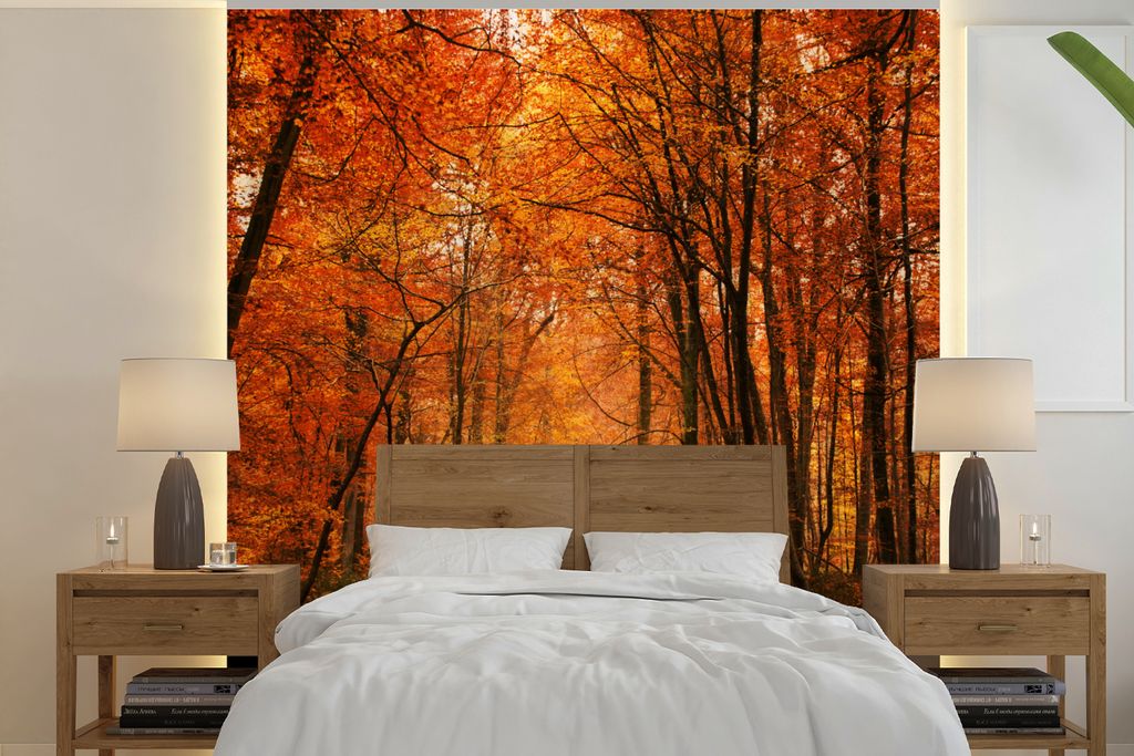 MuchoWow Fototapete für Wohnzimmer oder Schlafzimmer Wandtapete Vinyl Motivtapete Herbst - Rot - Wald - 240x240 cm - Schlafzimmer-Tapete