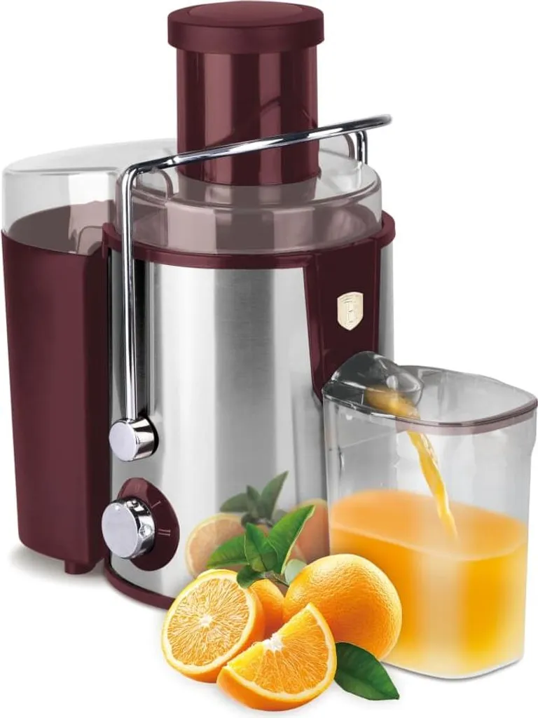 Centrifugeuse Berlinger BH9831 - Fini les Jus Industriels Plein de Sucre