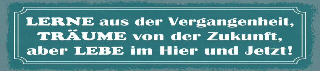 vianmo Holzschild 10x46 cm Lerne aus der Vergangenheit