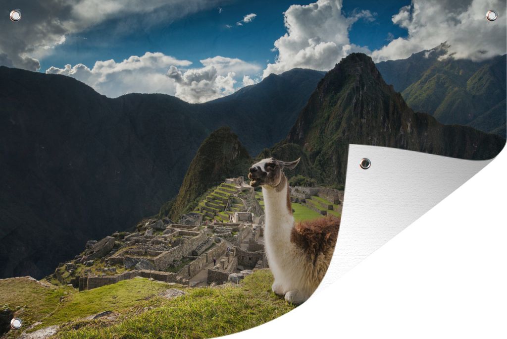 MuchoWow 120x80 cm Outdoor-Poster Gartendeko Sichtschutz Garten Poster für den Garten Alpaka in Machu Picchu
