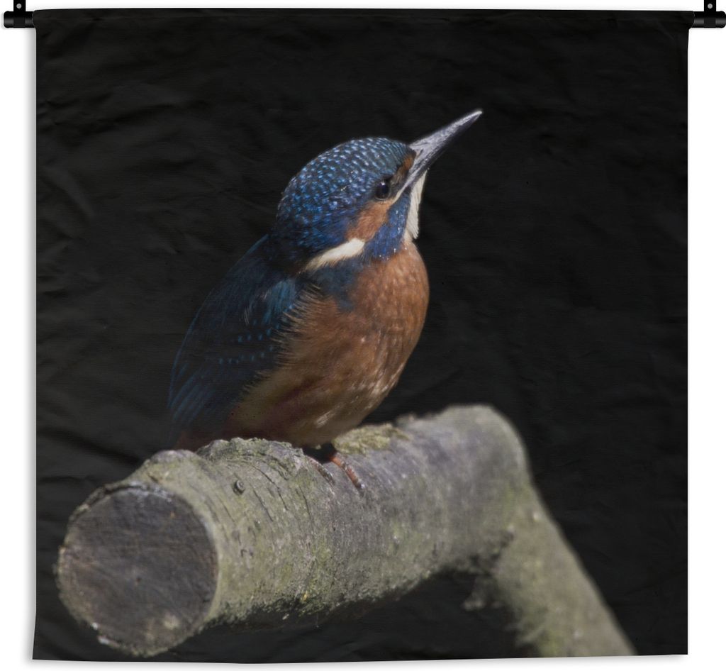 MuchoWow Wandteppich Wandbehang Eisvogel - Zweig - Federn - Schwarz 150x112.50 cm Tapisserie Dekoration Wandtuch - Wanddecke - Wandteppiche