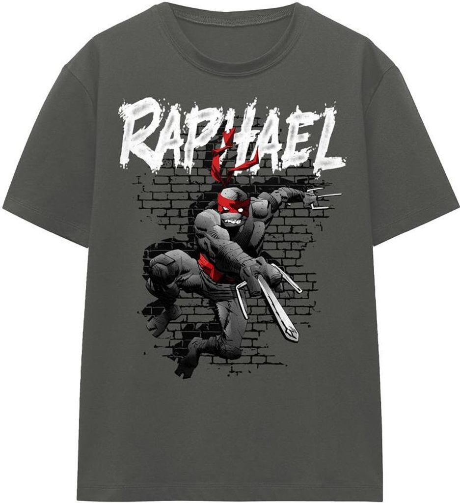 Teenage Mutant Ninja Turtles - T-Shirt für Herren/Damen Uni TV16882 (XL) (Holzkohle)