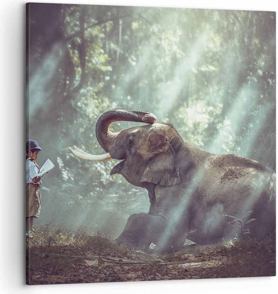 Bild auf Leinwand - Leinwandbild - Elefant Dschungel Stoßzahn - 50x50cm - Wand Bild - Wanddeko - Leinwanddruck - Bilder - Kunstdruck - Wanddekorat...