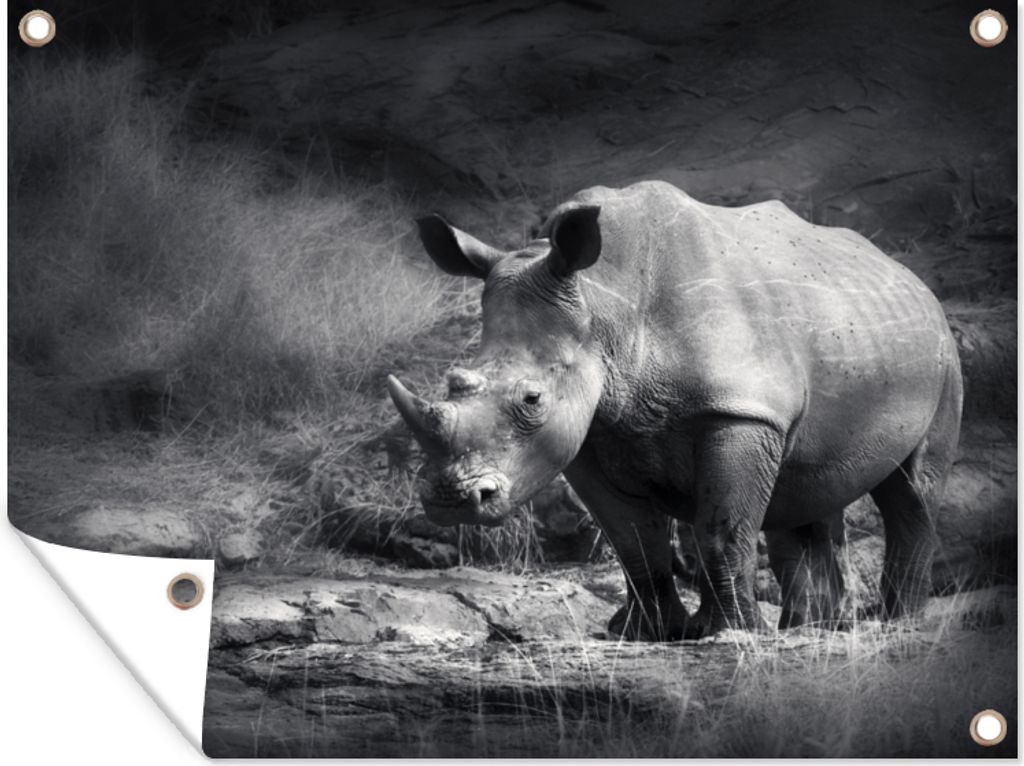 MuchoWow 120x90 cm Outdoor-Poster Gartendeko Sichtschutz Garten Poster für den Garten Rhinozeros - Natur - Gras - Schwarz - Weiß