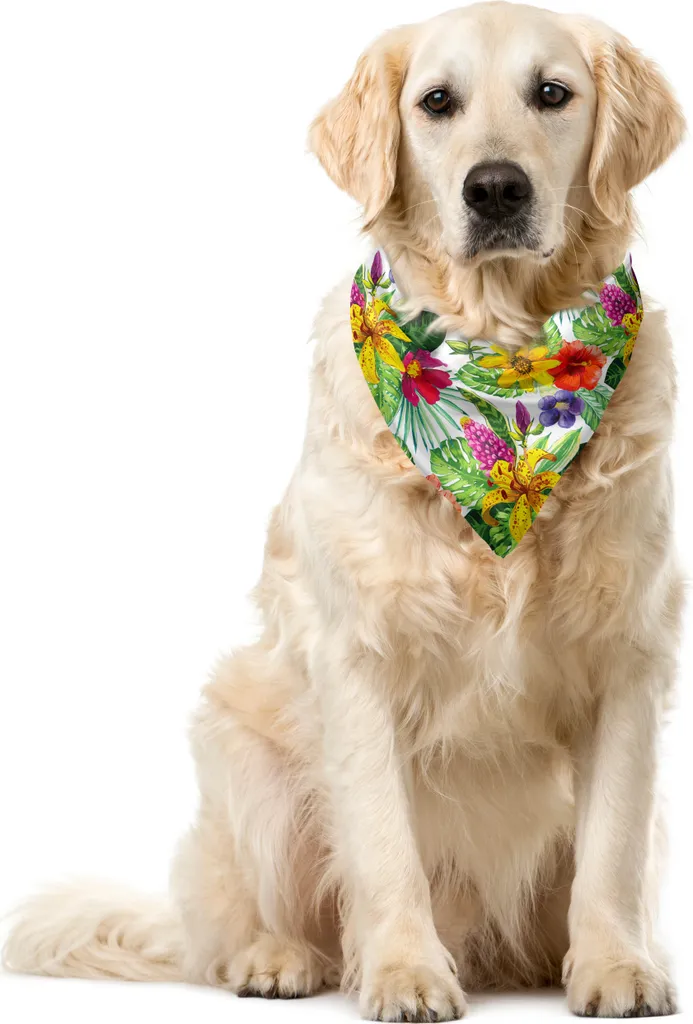 Scheda Tecnica Bandana ABAKUHAUS 55x55cm | Tessuto Tecnico per Cani