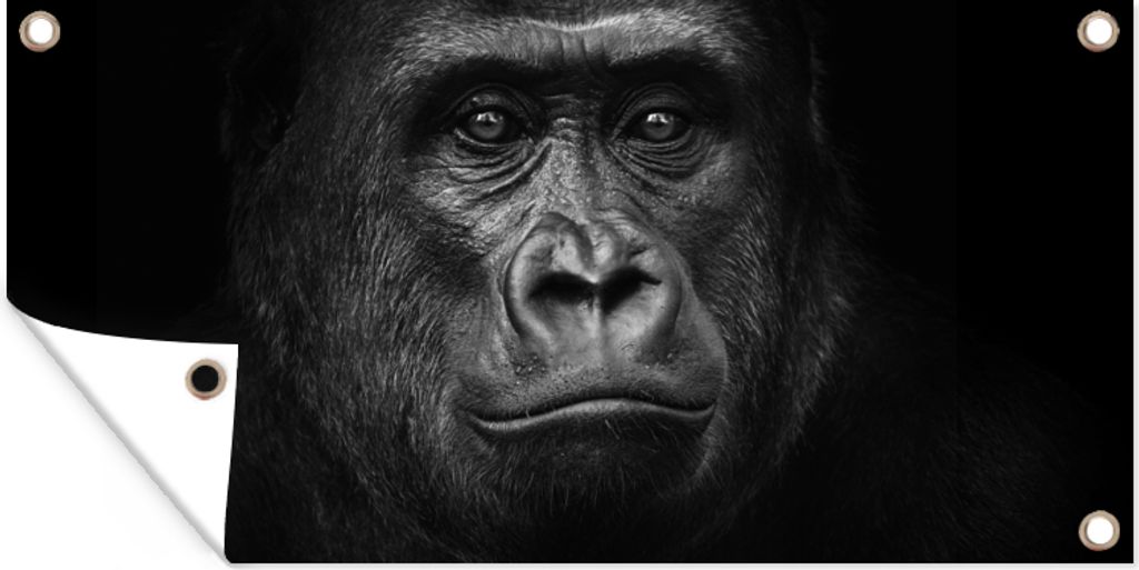 MuchoWow 160x80 cm Outdoor-Poster Gartendeko Sichtschutz Garten Poster für den Garten Gorilla - Schwarz - Weiß - Tiere - Porträt