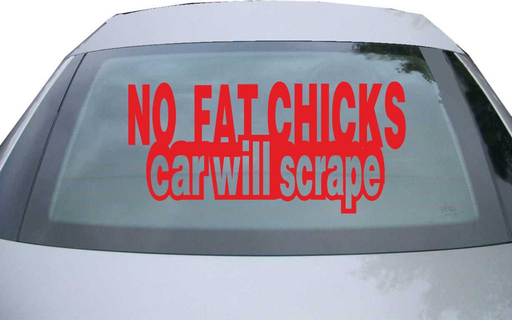 Indigos UG - Aufkleber Heckscheibe & Motorklappe DE6111 - rot - 600x285 mm - no fat chicks car will scrape - Auto Scheiben Fenster Heckklappe Tunin...