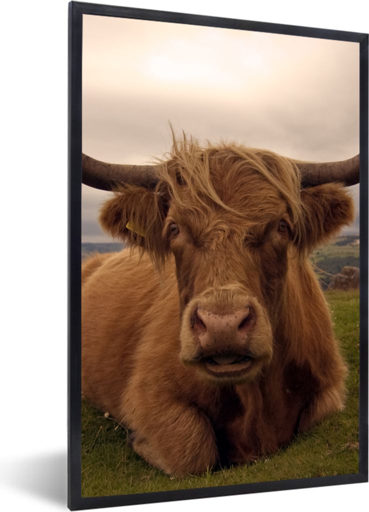 MuchoWow Gerahmtes Poster Schottischer Highlander - Tiere - Berg 20x30 cm - Poster mit Schwarzem Bilderrahmen Wandposter Rahmen Foto Bilder - Dru...