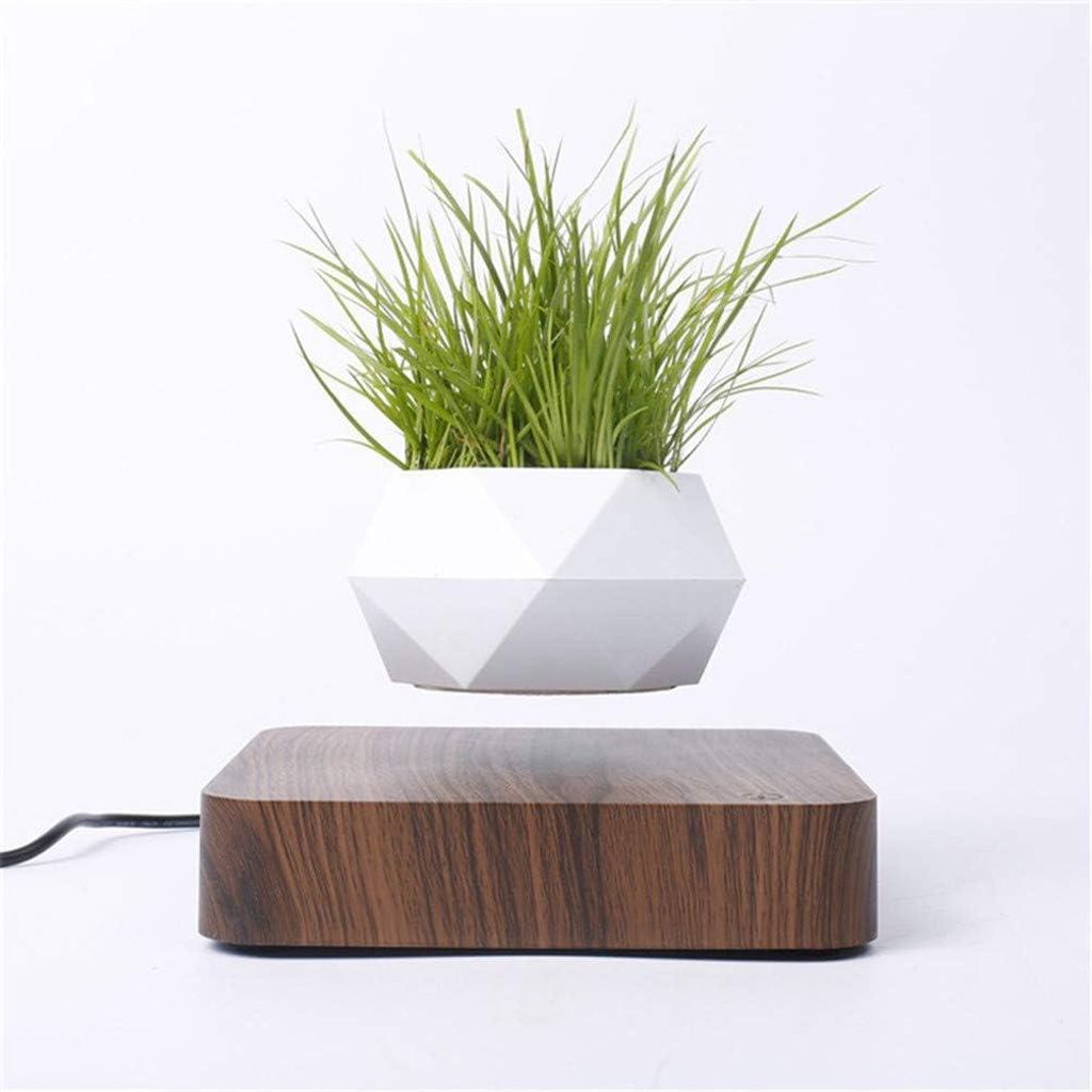 Schwebender Magnetischer Blumentopf für Bonsai und Sukkulenten - 360° Drehbarer Luftpflanzen Topf