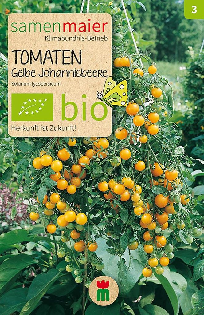 Tomaten Gelbe Johannisbeere - 20 Korn Saatgut Produktbild 