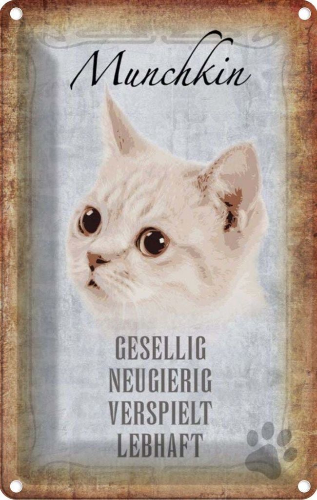 vianmo Blechschild 30x20 cm Munchkin Katze lebhaft Tier Haustier