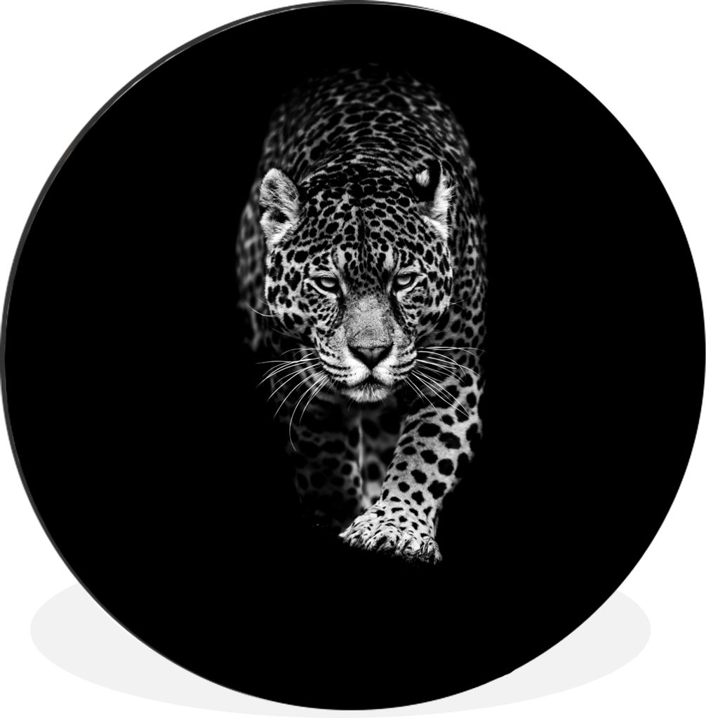 MuchoWow Aluminium Wandkreis Tiere - Schwarz - Leopard - Weiß - Wild Ø 60 cm Wanddeko Modern Wohnzimmer - Wand Kreis - Wandbild - Schlafzimmer ...