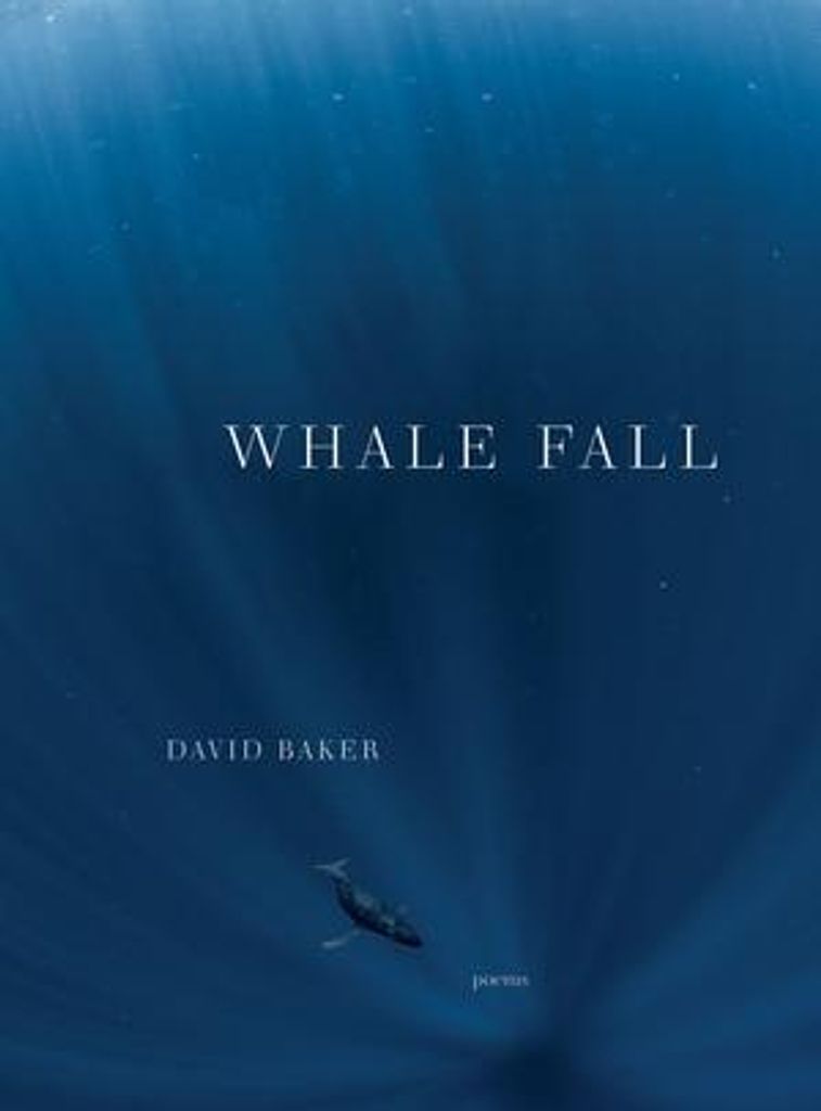 Whale Fall