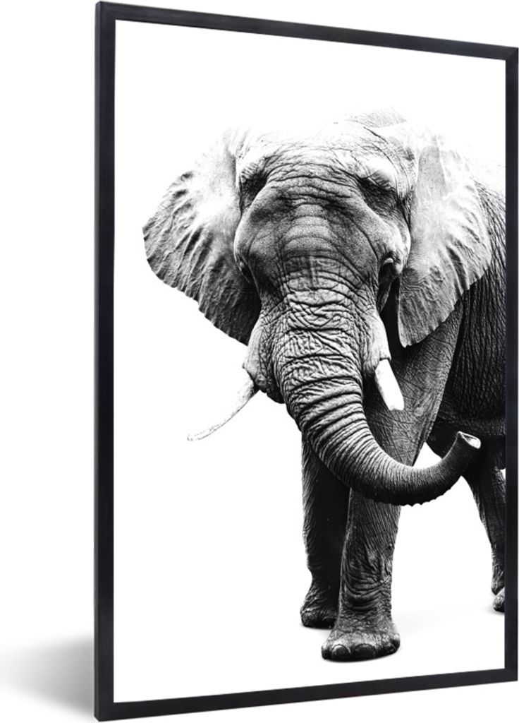 MuchoWow Gerahmtes Poster Elefant vor weißem Hintergrund - schwarz und weiß 60x90 cm - Poster mit Schwarzem Bilderrahmen Wandposter Rahmen Foto...