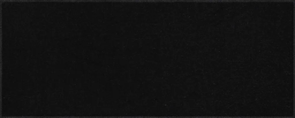 Paillasson Salonloewe Noir 40x100 cm : Fini les Sols Sales et Glissants