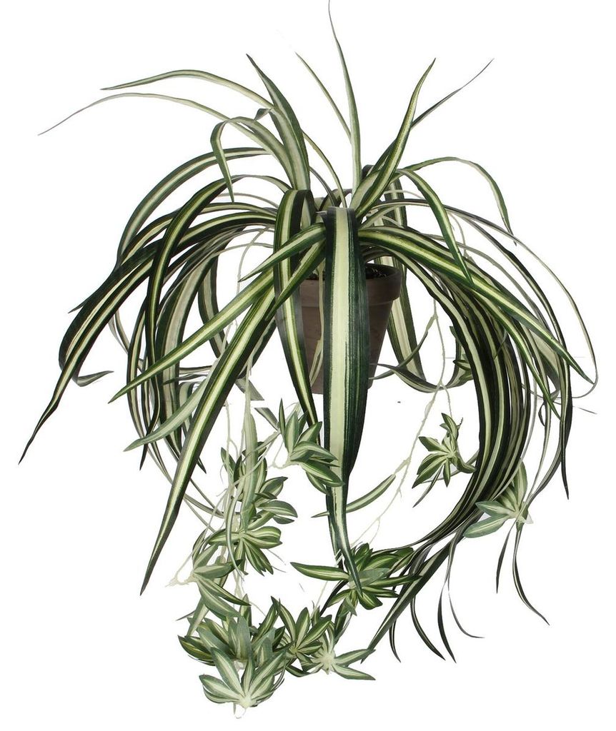 Mica Decorations Chlorophytum Kunstplant in Bloempot Stan - Productafbeelding 