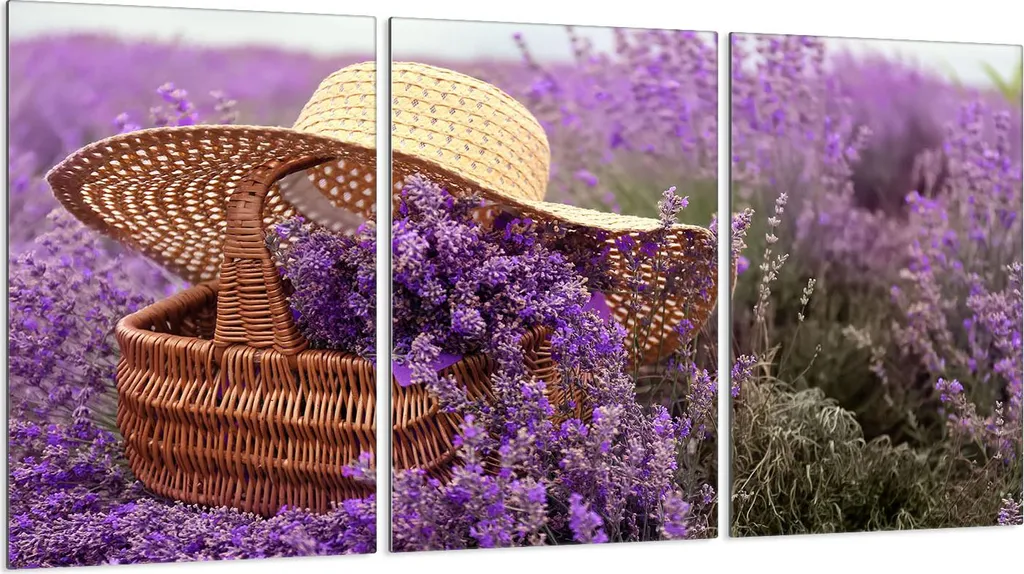 Piastre copri fornelli 3 pezzi 30x52 Vetro copri piano cottura in ceramica, viola lavanda