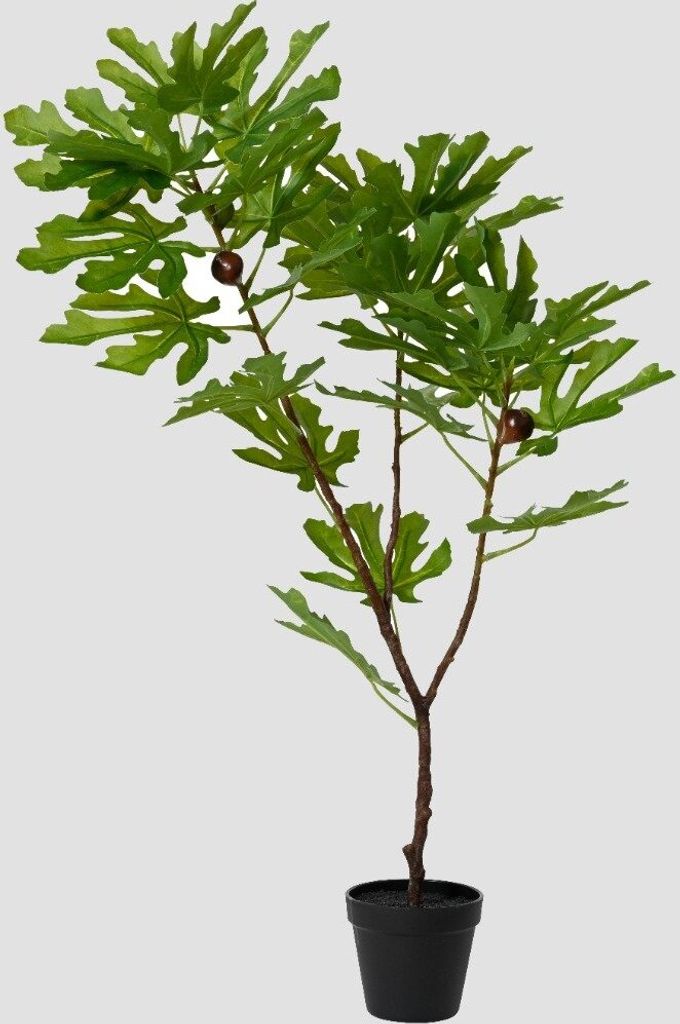 HOMLA Künstliche Pflanze BOTANIZE Feigenbaum 85 cm