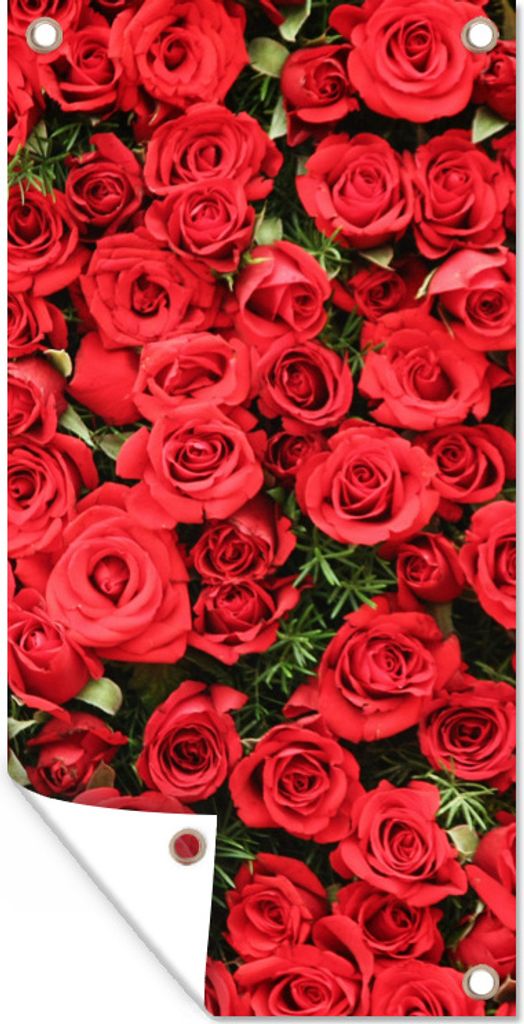 MuchoWow 80x160 cm Outdoor-Poster Gartendeko Sichtschutz Garten Poster für den Garten Rosen - Rot - Strauch