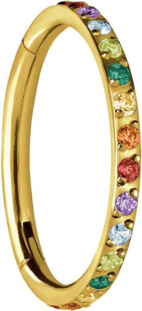 Ohrpiercing, Nasenpiercing, Septum Piercing Titan Segmentring Clicker EINGEFASSTE BUNTE KRISTALLE Gold Innendurchmesser: 10 mm