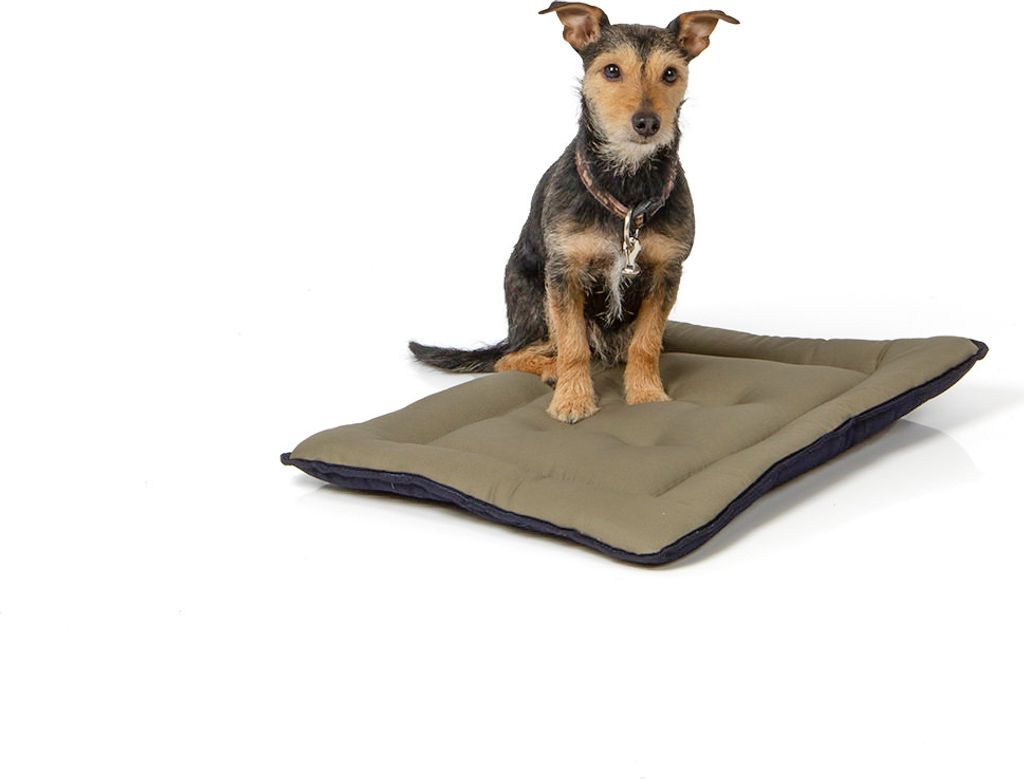 gepolsterte Wendedecke 60 x 45 cm, dunkelblau/oliv bei 95°C waschbar für Hunde