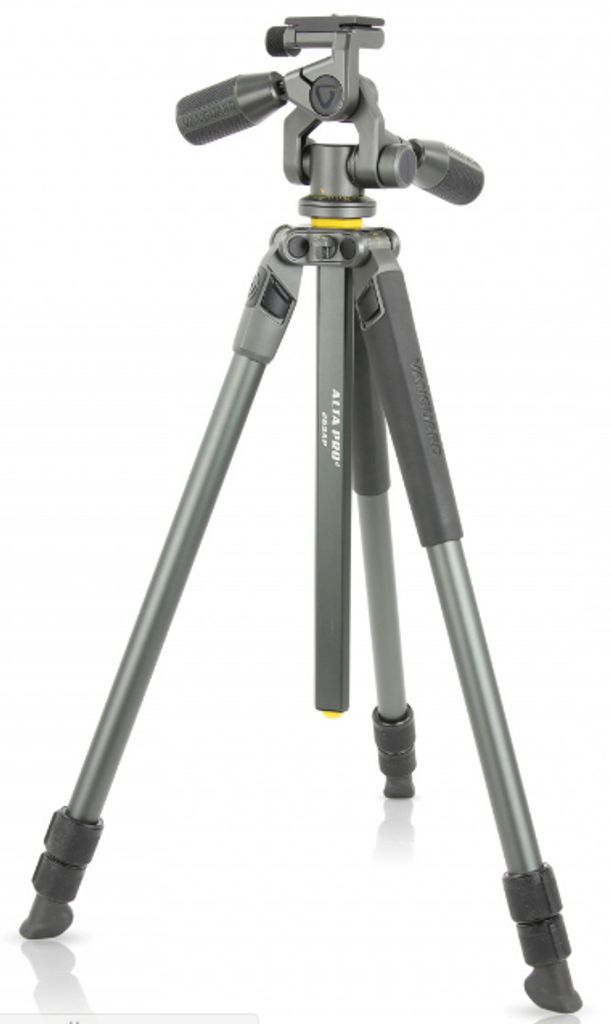 Vanguard ALTA PRO 2+ 263AP, 3 Bein(e), Grau, 175,2 cm, 2,5 kg