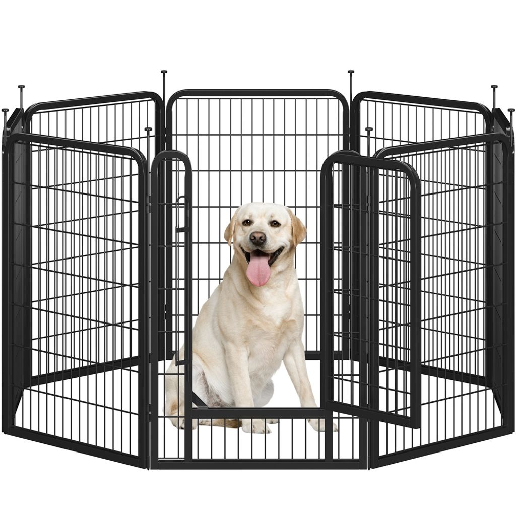 A yellow Labrador Retriever dog sits inside a black metal dog playpen.