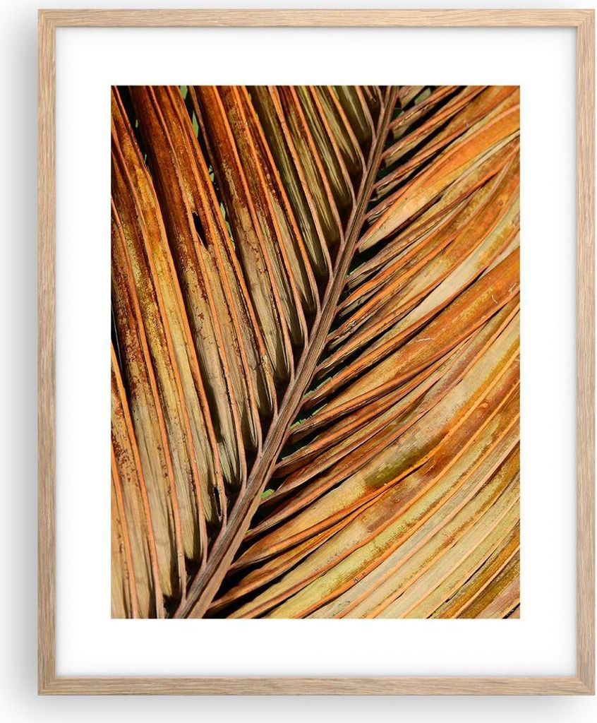 Gerahmtes Poster - Rahmen in heller Eiche - Orange Blatt Tropisch - 40x50 cm - Wand Bild - Wanddeko - Wandbilder - Kunstposter - Wandposter - Bilde...