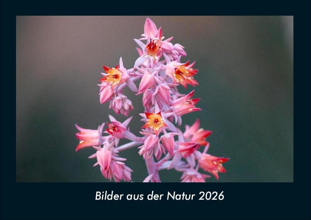 Bilder aus der Natur 2026 Fotokalender - Querformat DIN A4, Monatskalender mit Bild-Motiven aus Fauna und Flora, Natur, Blumen und Pflanzen