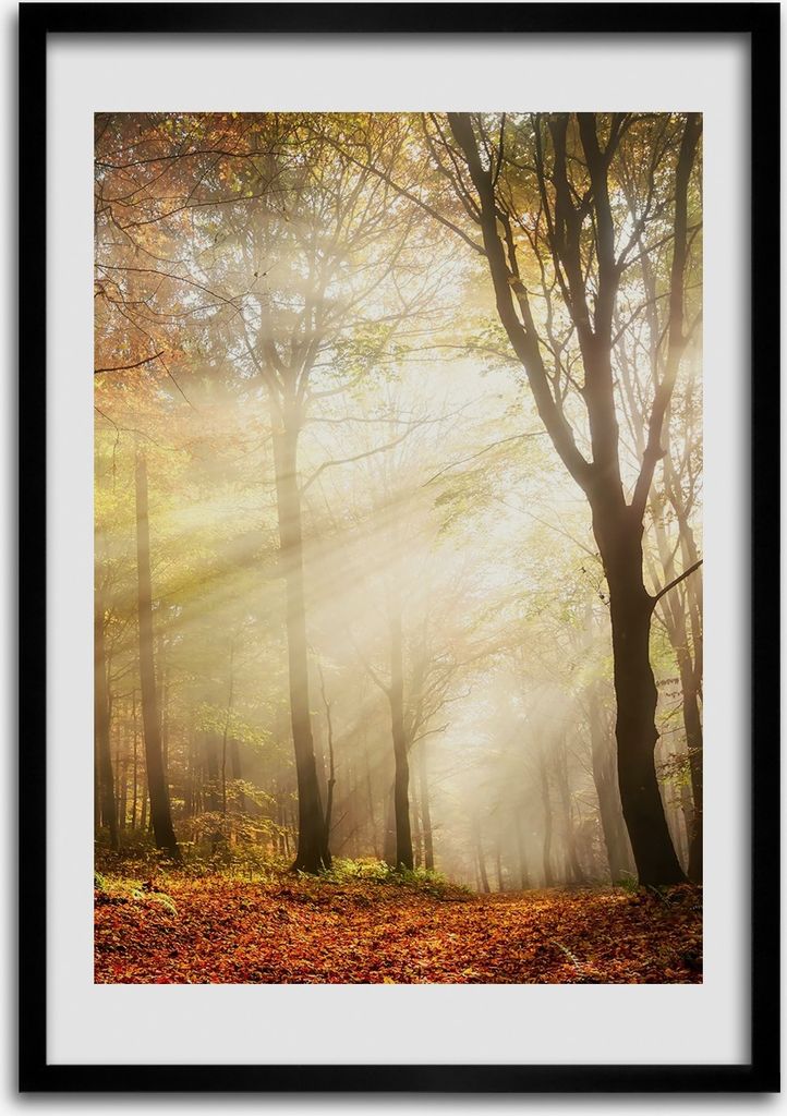 Bild - Bilderrahmen - 50 cm x 70 cm - MDF - Rahmen - Produktbild 