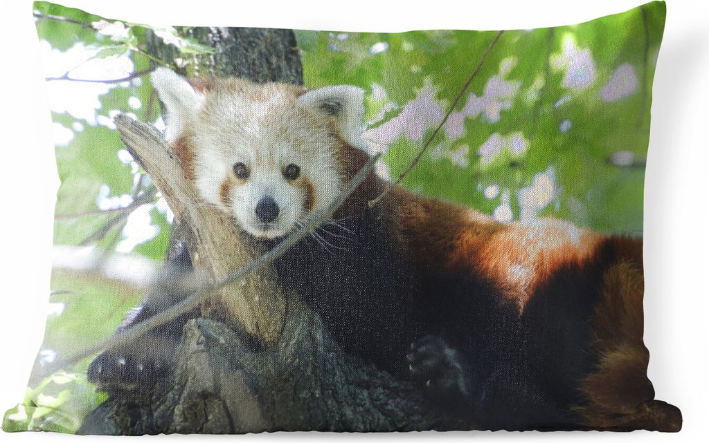 MuchoWow® Outdoor Kissen - Roter Panda - Baum - Grün - Produktbild 