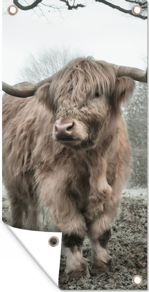 MuchoWow 40x80 cm Outdoor-Poster Gartendeko Sichtschutz Garten Poster für den Garten Schottische Highlander - Natur - Herbst - Tiere - Wildtiere...