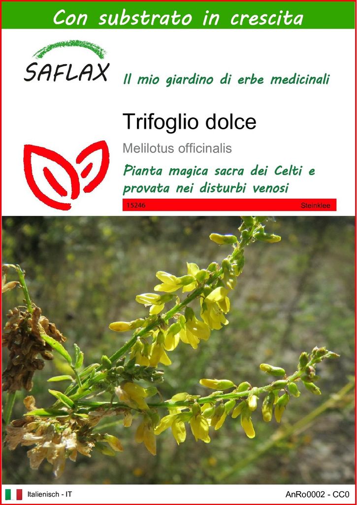 SAFLAX  - Trifoglio dolce - 250 semi - Con substrato - Immagine del prodotto 
