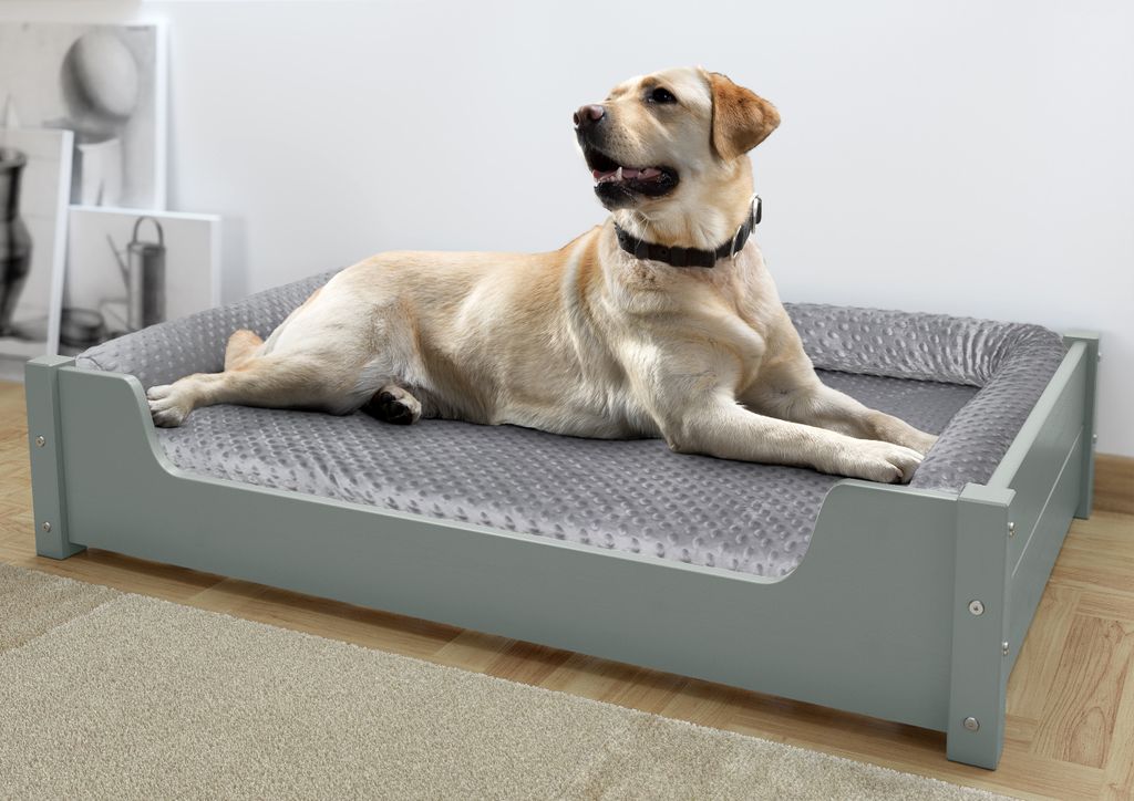 s Haustierbett, Tierbett 100x60 cm, Kiefer grau Produktbild 