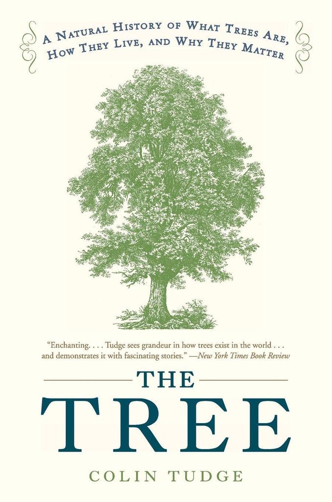 Der Baum: Eine Naturgeschichte darüber, was Bäume sind, wie sie leben und warum sie wichtig sind