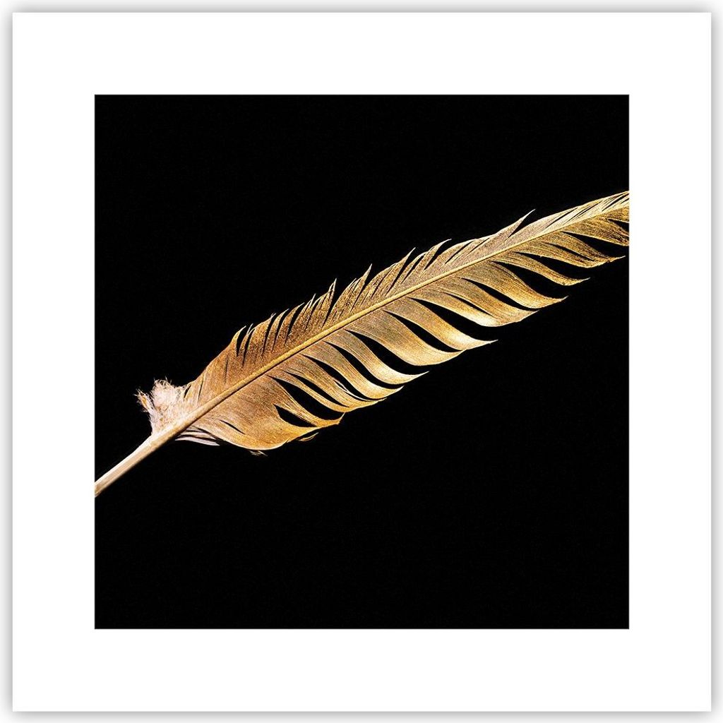 Poster - Poster ohne Rahmen - Golden Feder Schwarz - 30x30 cm - Wand Bild - Wanddeko - Wandbilder - Kunstposter - Wandposter - Bilder - Kunstdruck ...