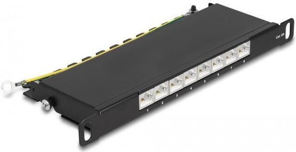 Delock - Patch Panel - Rack montierbar - CAT 6a - RJ-45 X 8, LSA X 8 - Schwarz - 0.5U - 25.4 cm (10")