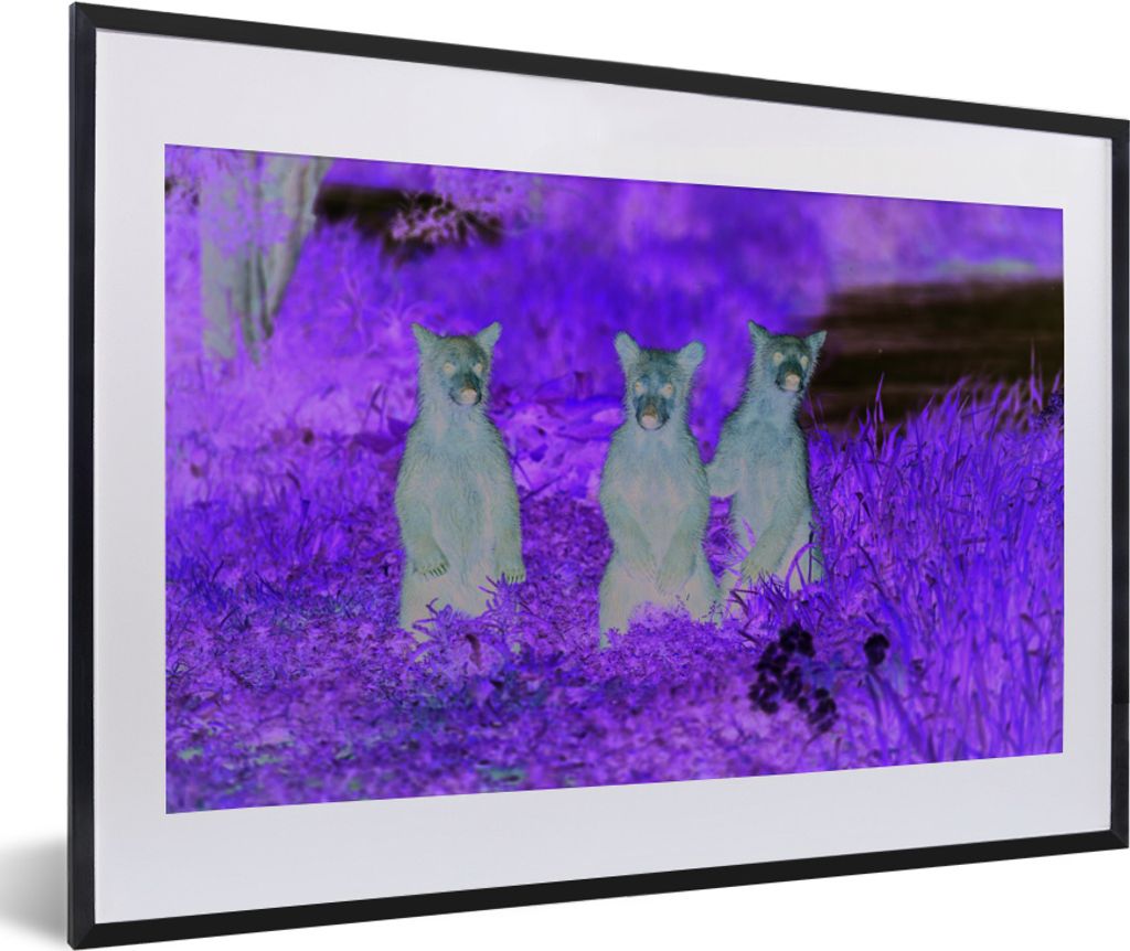 MuchoWow MuchoWow Gerahmtes Poster Bären - Blumen - Gras - Familie 60x40 cm - Poster mit zchwarzem Bilderrahmen - Schlafzimmer - Plakat in Rah...