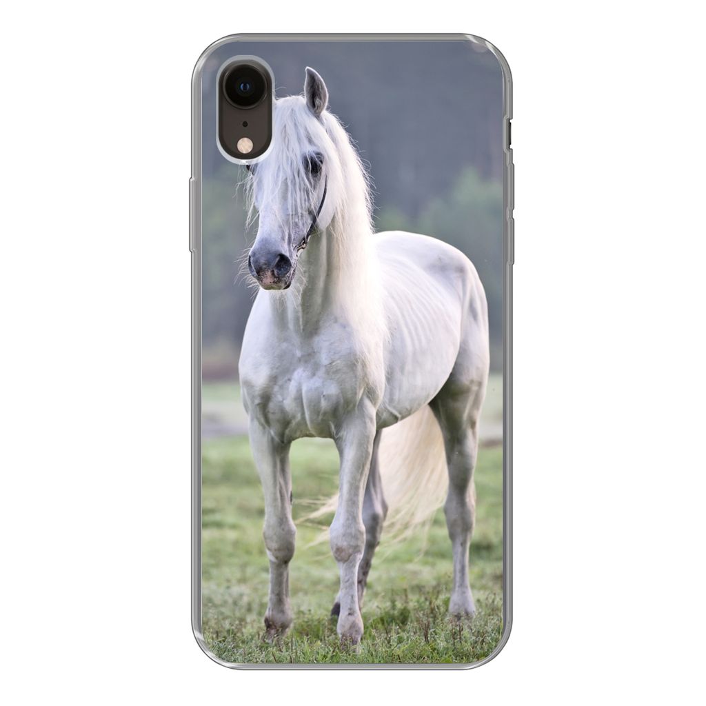 MuchoWow Handyhülle Schutzhülle Hülle für iPhone XR Pferd - Licht - Morgen Silikon Softcase Handy Hülle - Schutzdeckel